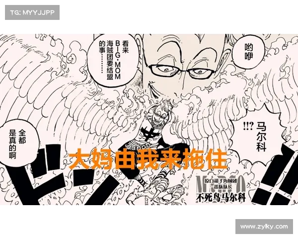 辐射岛语言如何转换成中文：全面解析与实用指南