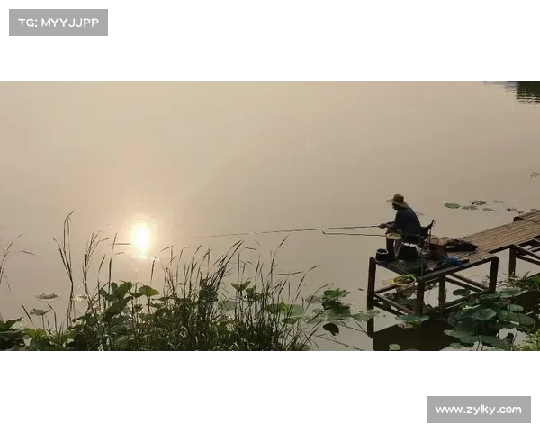 问道鉴定之宝鉴秘辛，灵石慧眼鉴破乾坤